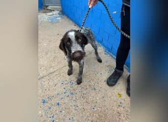 Fito, ein bezaubernder Bube