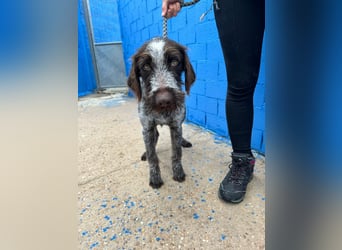 Fito, ein bezaubernder Bube