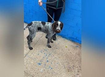 Fito, ein bezaubernder Bube