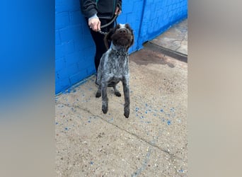 Fito, ein bezaubernder Bube