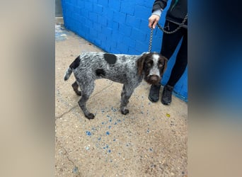 Fito, ein bezaubernder Bube