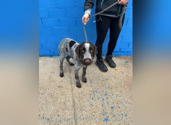 Fito, ein bezaubernder Bube