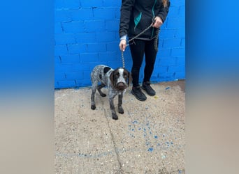 Fito, ein bezaubernder Bube