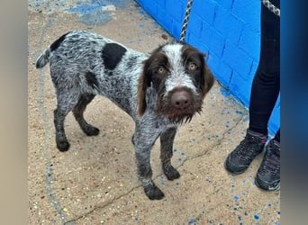 FITO der verschmuste Schatz