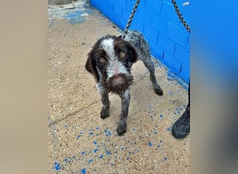 FITO der verschmuste Schatz