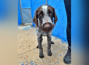 FITO der verschmuste Schatz