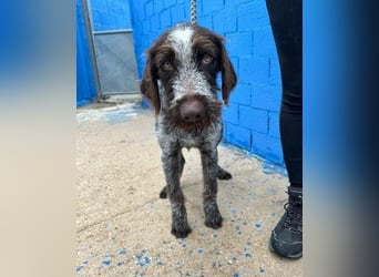 FITO der verschmuste Schatz