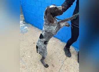 FITO der verschmuste Schatz