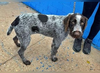 FITO der verschmuste Schatz