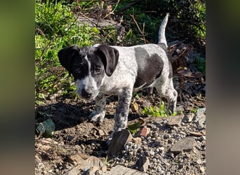 Kleine Juna sucht eine Familie