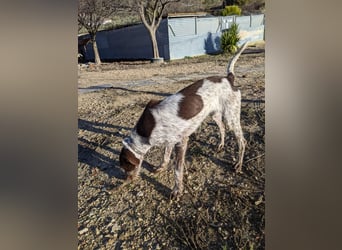 Ariel möchte ankommen und für immer bleiben!