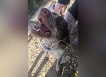 Ariel möchte ankommen und für immer bleiben!