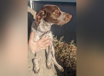 Ariel möchte ankommen und für immer bleiben!