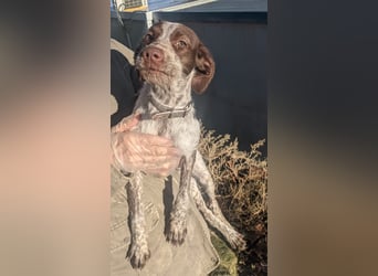 Ariel möchte ankommen und für immer bleiben!