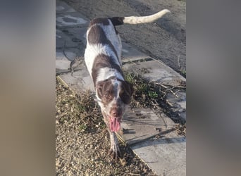 Ariel möchte ankommen und für immer bleiben!