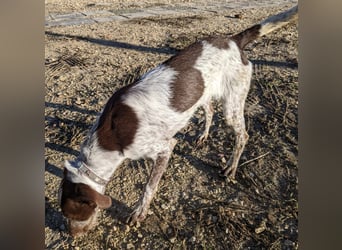 Ariel möchte ankommen und für immer bleiben!