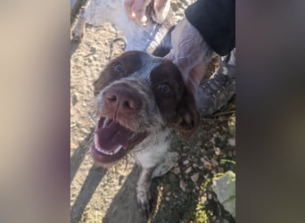 Ariel möchte ankommen und für immer bleiben!