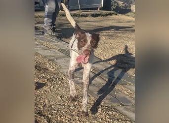 Ariel möchte ankommen und für immer bleiben!