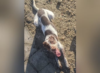 Ariel möchte ankommen und für immer bleiben!