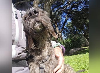 Trenedda: für sie nur noch das Beste