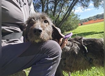 Trenedda: für sie nur noch das Beste