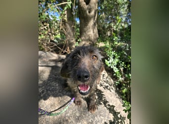 Trenedda: für sie nur noch das Beste