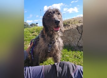 Trenedda: für sie nur noch das Beste