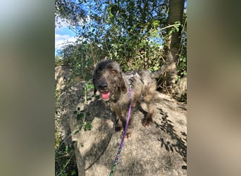 Trenedda: für sie nur noch das Beste