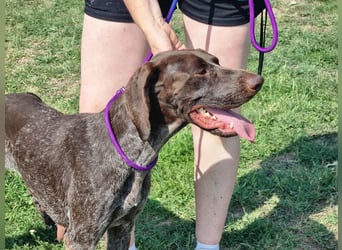 Mendi, geboren 28.06.2022, 60cm sucht liebevolles Zuhause