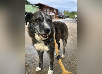 Luke: unglaublich menschenbezogen