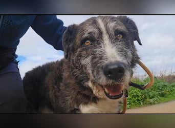 Luke: unglaublich menschenbezogen