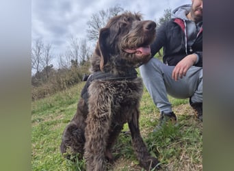 Klaus - ein freundlicher charmanter Bub