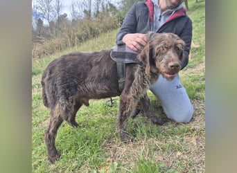 Klaus - ein freundlicher charmanter Bub