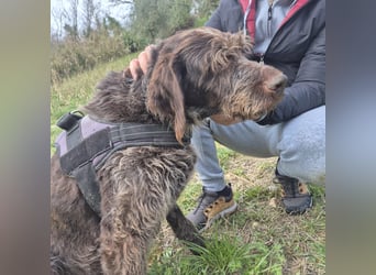 Klaus - ein freundlicher charmanter Bub