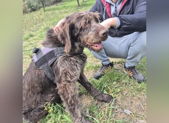 Klaus - ein freundlicher charmanter Bub