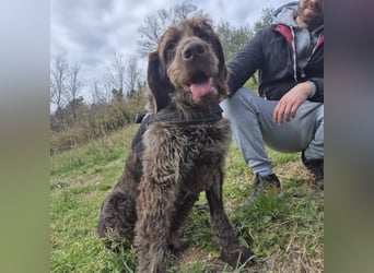 Klaus - ein freundlicher charmanter Bub