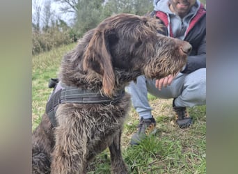 Klaus - ein freundlicher charmanter Bub