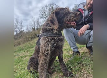 Klaus - ein freundlicher charmanter Bub