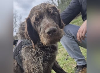 Klaus - ein freundlicher charmanter Bub