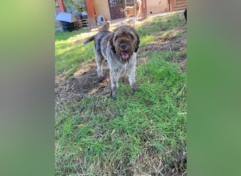 Book - ein großer guter Junge