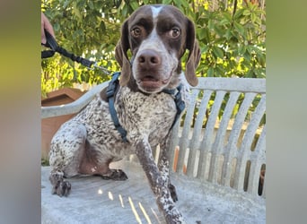 Jakob - ein feiner Kerl sucht seinen Lieblingsmenschen