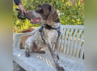 Jakob - ein feiner Kerl sucht seinen Lieblingsmenschen