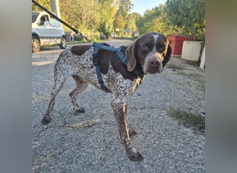 Jakob - ein feiner Kerl sucht seinen Lieblingsmenschen