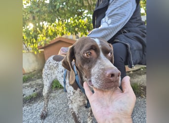 Jakob - ein feiner Kerl sucht seinen Lieblingsmenschen