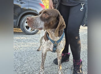Jakob - ein feiner Kerl sucht seinen Lieblingsmenschen