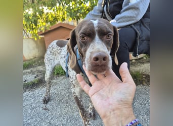 Jakob - ein feiner Kerl sucht seinen Lieblingsmenschen