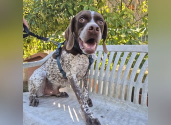 Jakob - ein feiner Kerl sucht seinen Lieblingsmenschen