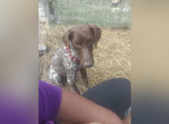 LEA - sucht ihre Menschen *reserviert*