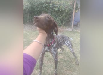 LEA - sucht ihre Menschen *reserviert*