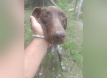 LEA - sucht ihre Menschen *reserviert*